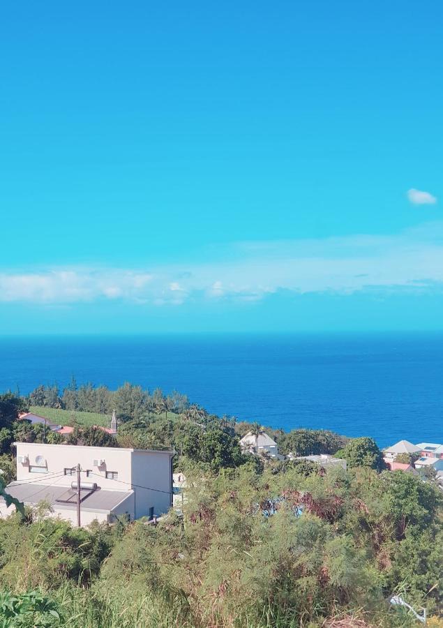 Petite Île Lilie Location Manapany 4 Etoiles 빌라 외부 사진